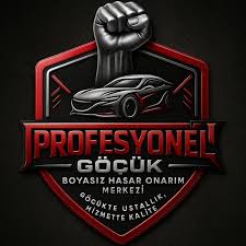 Profesyonel Göçük logosu